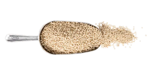 M6448 Quinoa Kugel