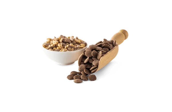 Erbacher Food Intelligence Ingredients Anwendung Fruehstueckscerealien Muesli 220203 75334