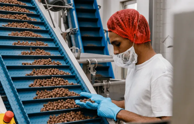 Erbacher Food Intelligence Mitarbeiter Produktion